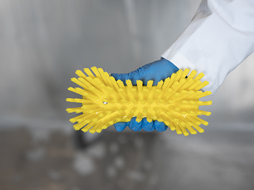 BROSSE_3894_2_75