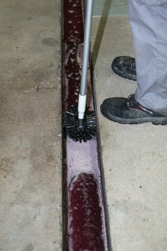 BROSSE_7037_3_75