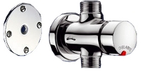 Temporized tap with plate