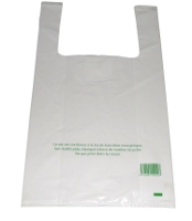 Bag with handles